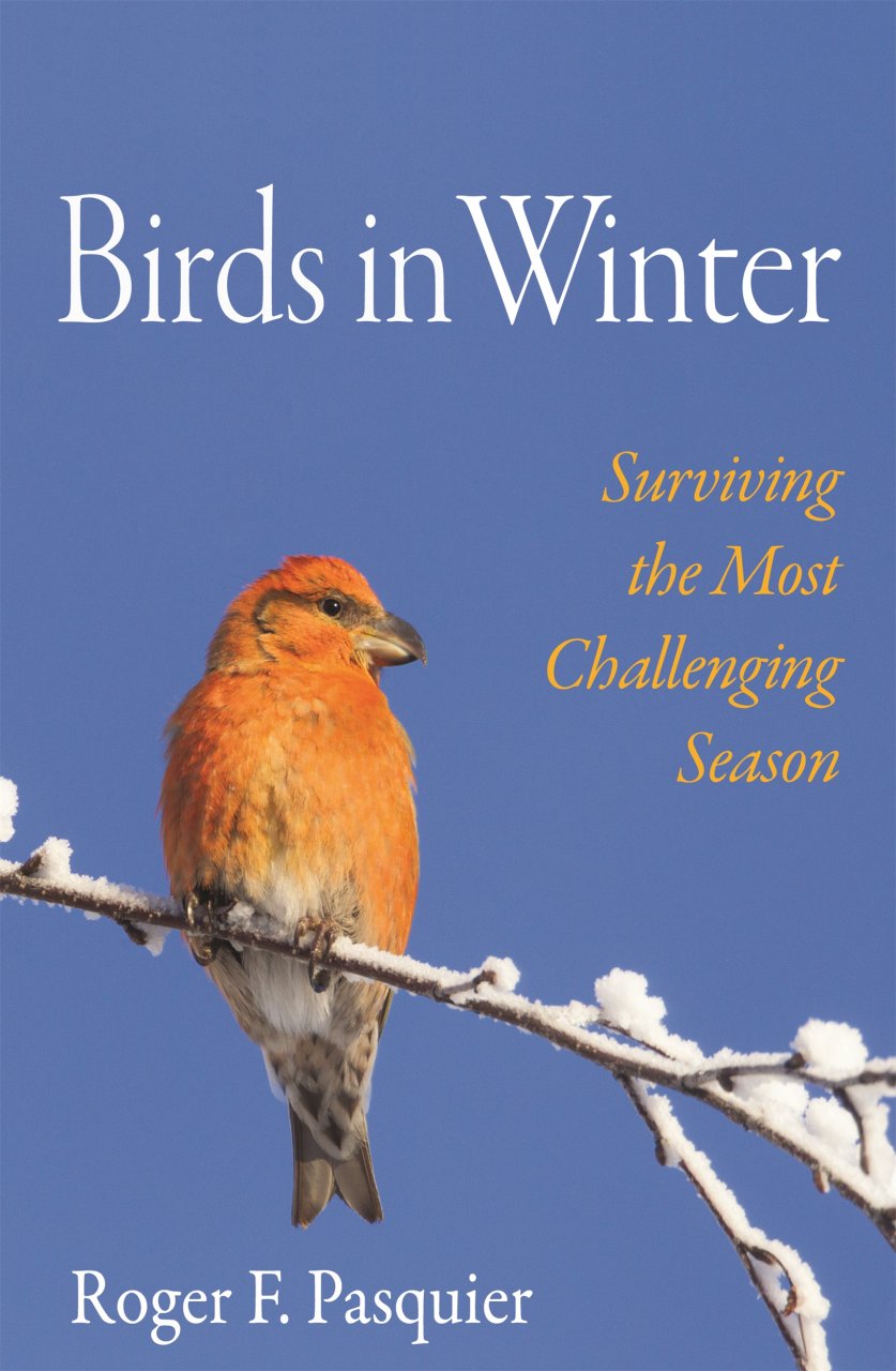 BIRDS IN WINTER. SURVIVING THE MOST CHALLENGING SEASON 1