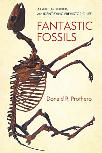 FANTASTIC FOSSILS