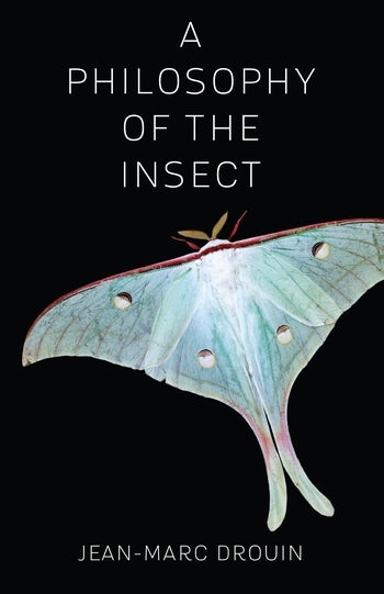 A PHILOSOPHY OF THE INSECT