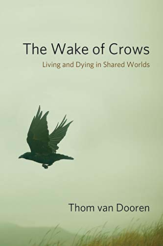 THE WAKE OF CROWS 1