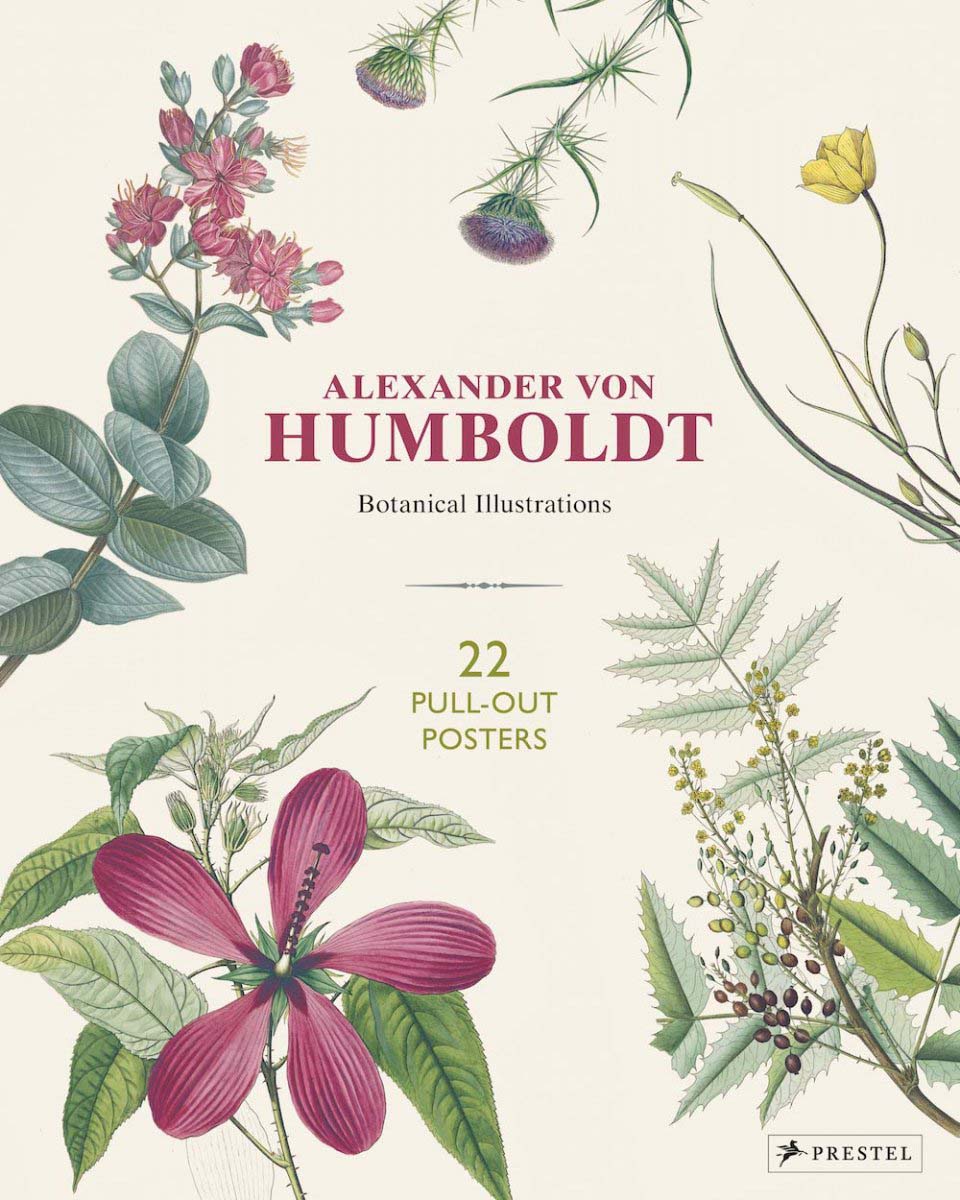 ALEXANDER VON HUMBOLDT. BOTANICAL ILLUSTRATIONS 1