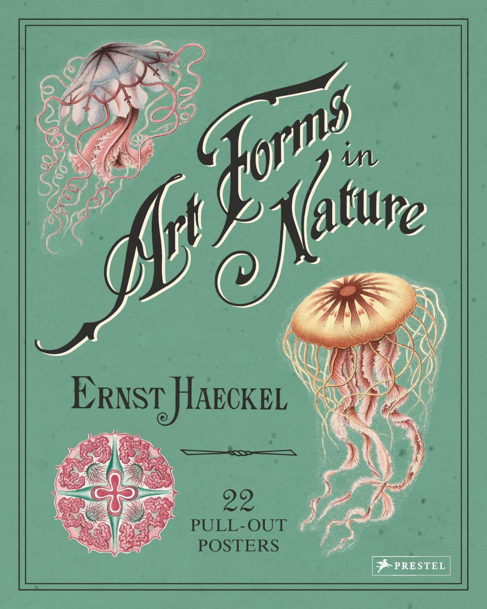 ART FORMS IN NATURE. 22 PULL-OUT POSTERS 1
