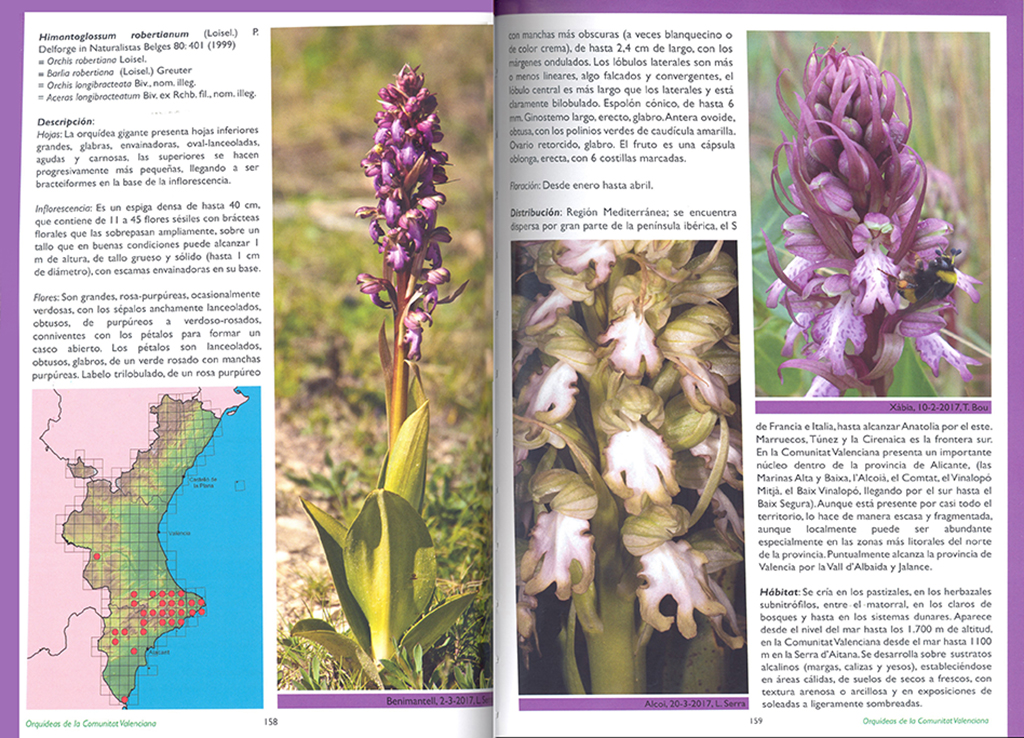 GUÍA DE LAS ORQUÍDEAS DE LA COMUNITAT VALENCIANA 2