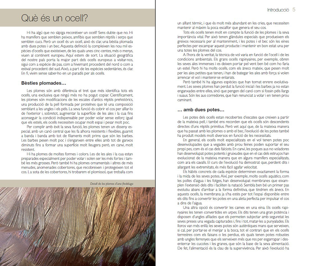 ELS OCELLS. CONÈIXER LA NATURA AMB JAUME SAÑÉ 2