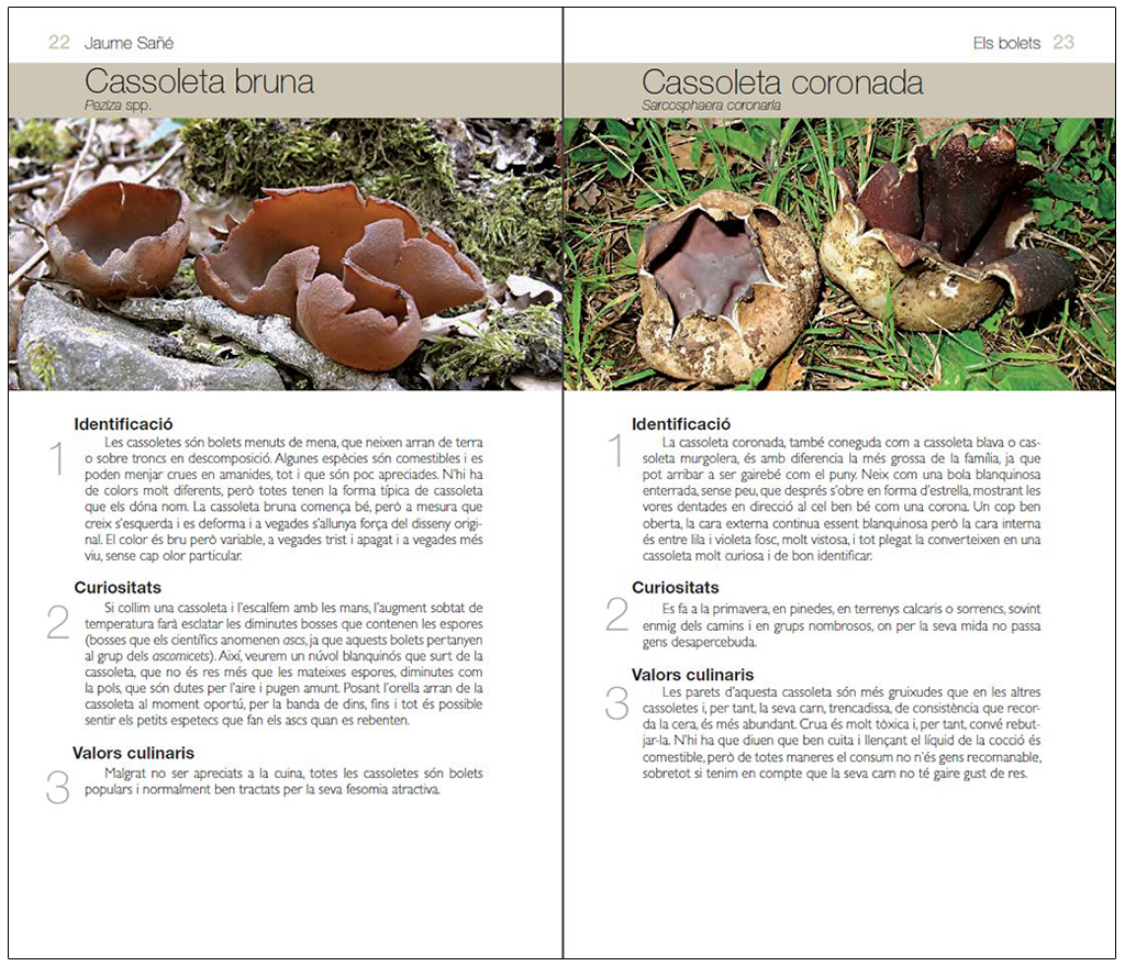 ELS BOLETS. CONÈIXER LA NATURA AMB JAUME SAÑÉ                                                                                                          3