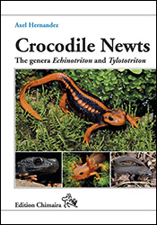 CROCODILE NEWTS