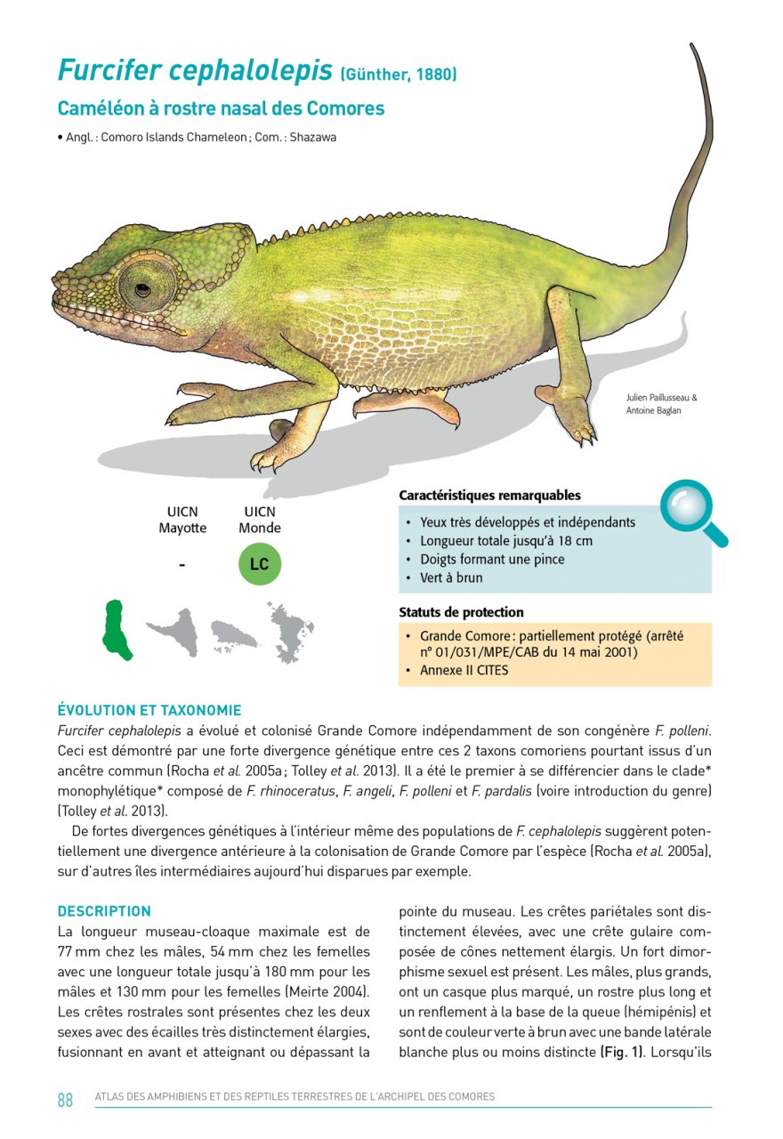 ATLAS DES AMPHIBIENS ET DES REPTILES TERRESTRES DE L'ARCHIPEL DES COMORES 3