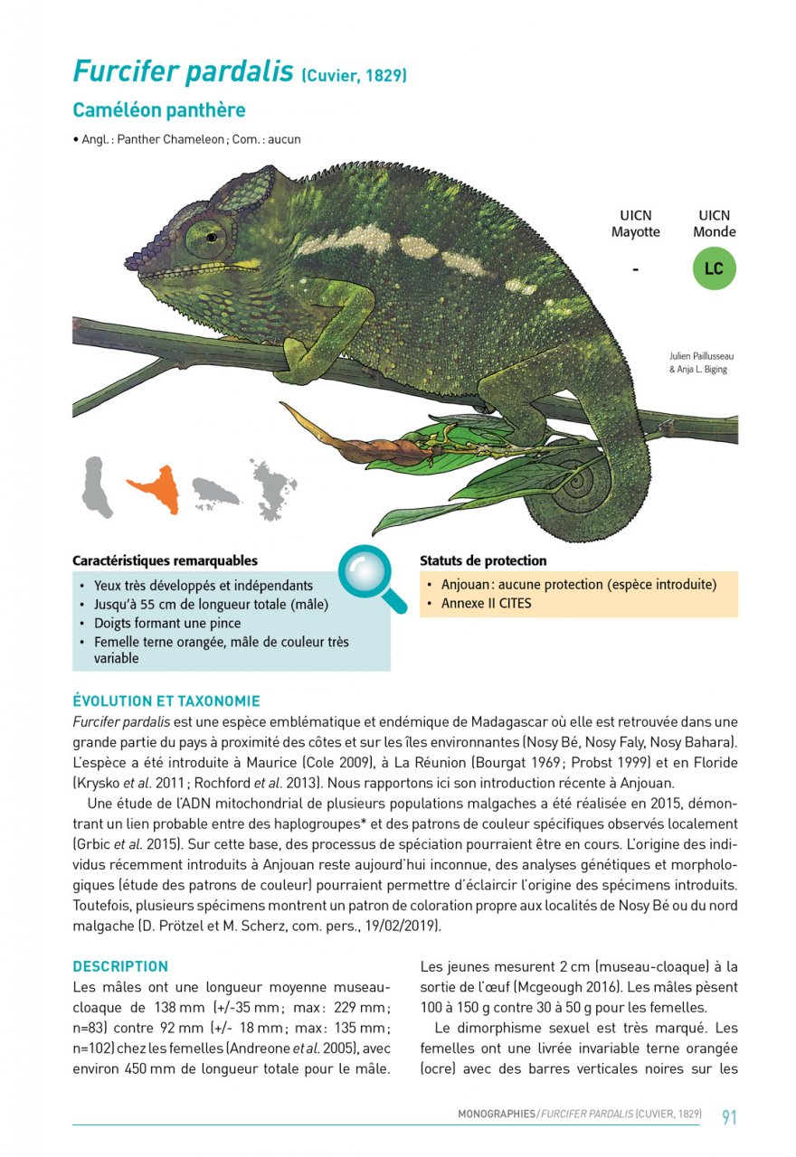 ATLAS DES AMPHIBIENS ET DES REPTILES TERRESTRES DE L'ARCHIPEL DES COMORES 4