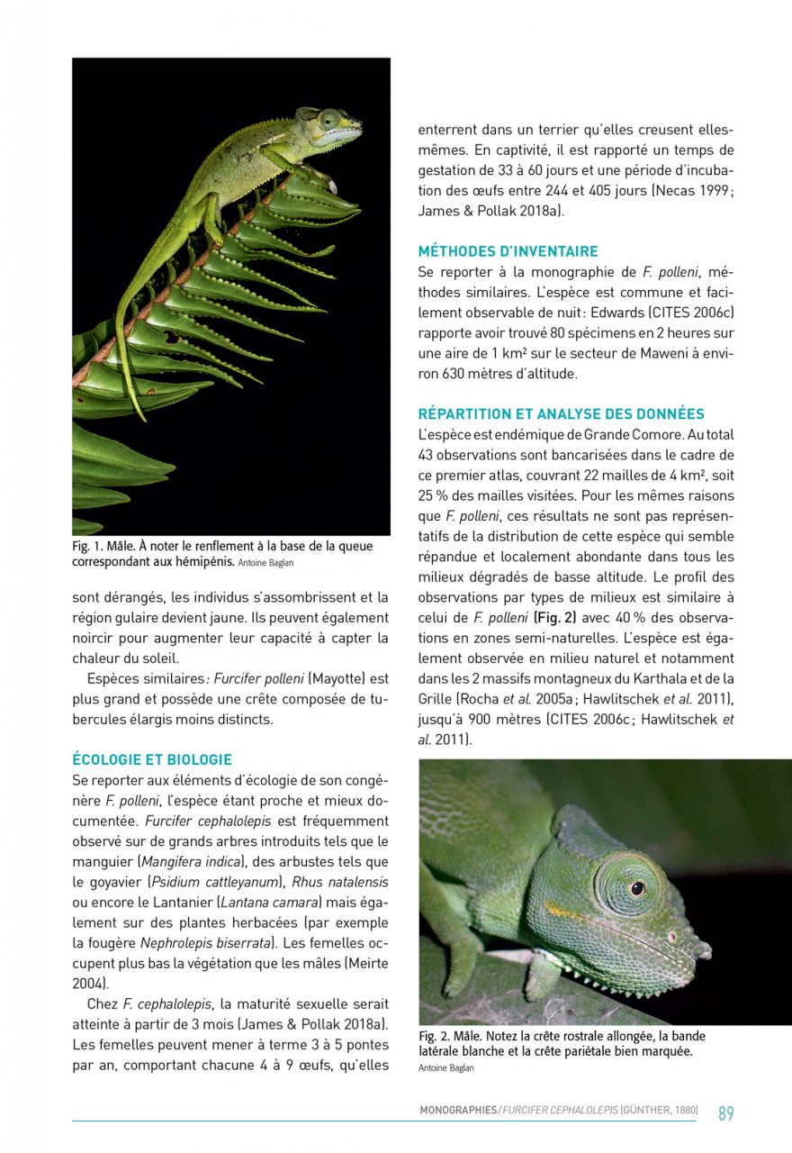 ATLAS DES AMPHIBIENS ET DES REPTILES TERRESTRES DE L'ARCHIPEL DES COMORES 5