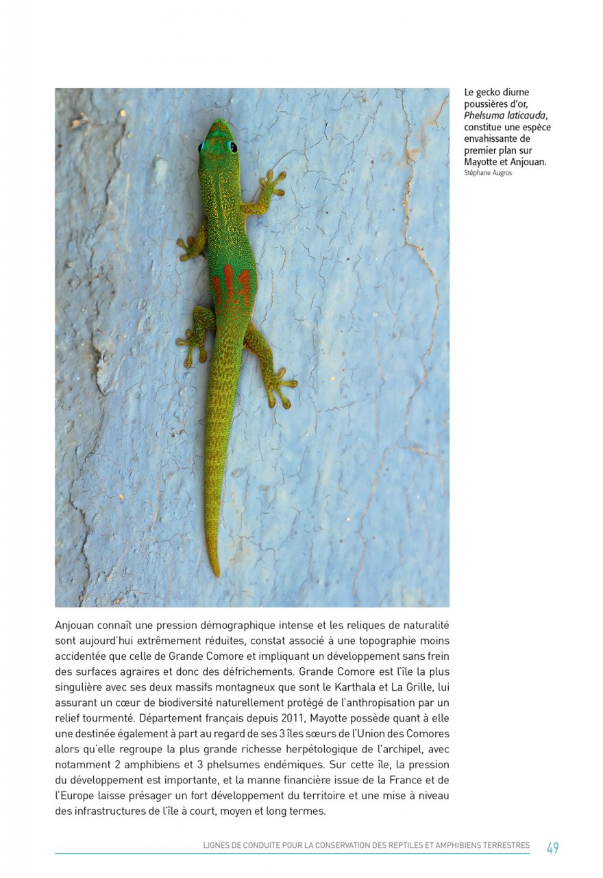 ATLAS DES AMPHIBIENS ET DES REPTILES TERRESTRES DE L'ARCHIPEL DES COMORES 6