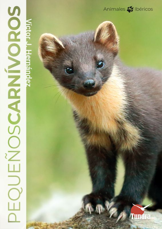 PEQUEÑOS CARNIVOROS 1