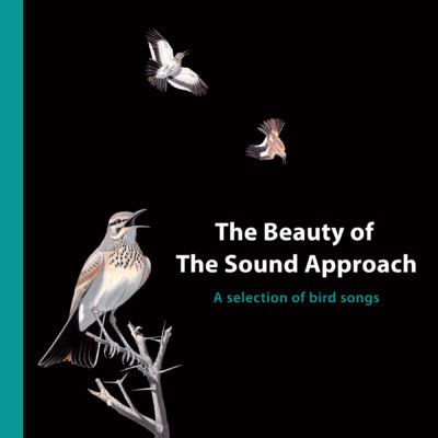 THE BEAUTY OF THE SOUND APPROACH