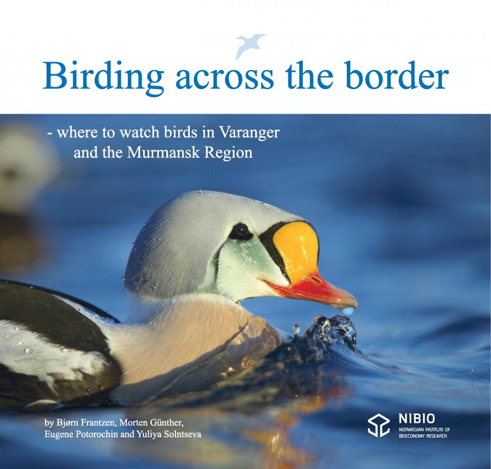 BIRDING ACROSS THE BORDER