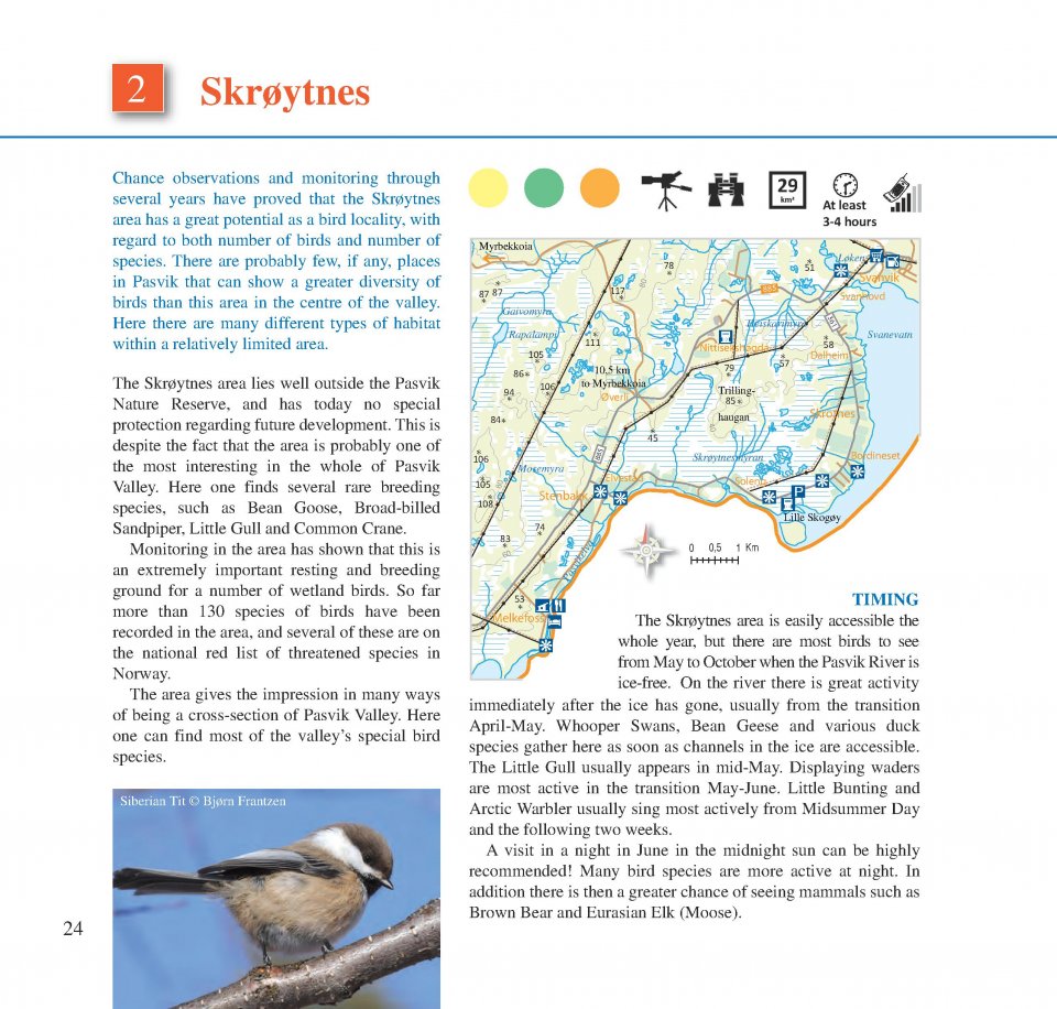 BIRDING ACROSS THE BORDER 2