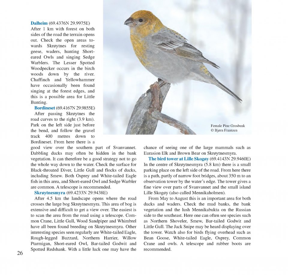 BIRDING ACROSS THE BORDER 3