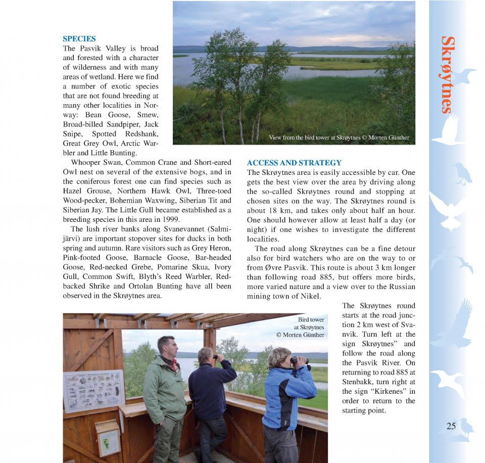 BIRDING ACROSS THE BORDER 4