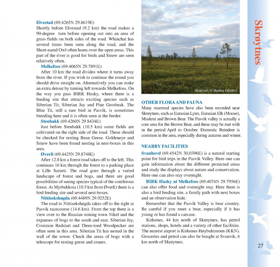 BIRDING ACROSS THE BORDER 5