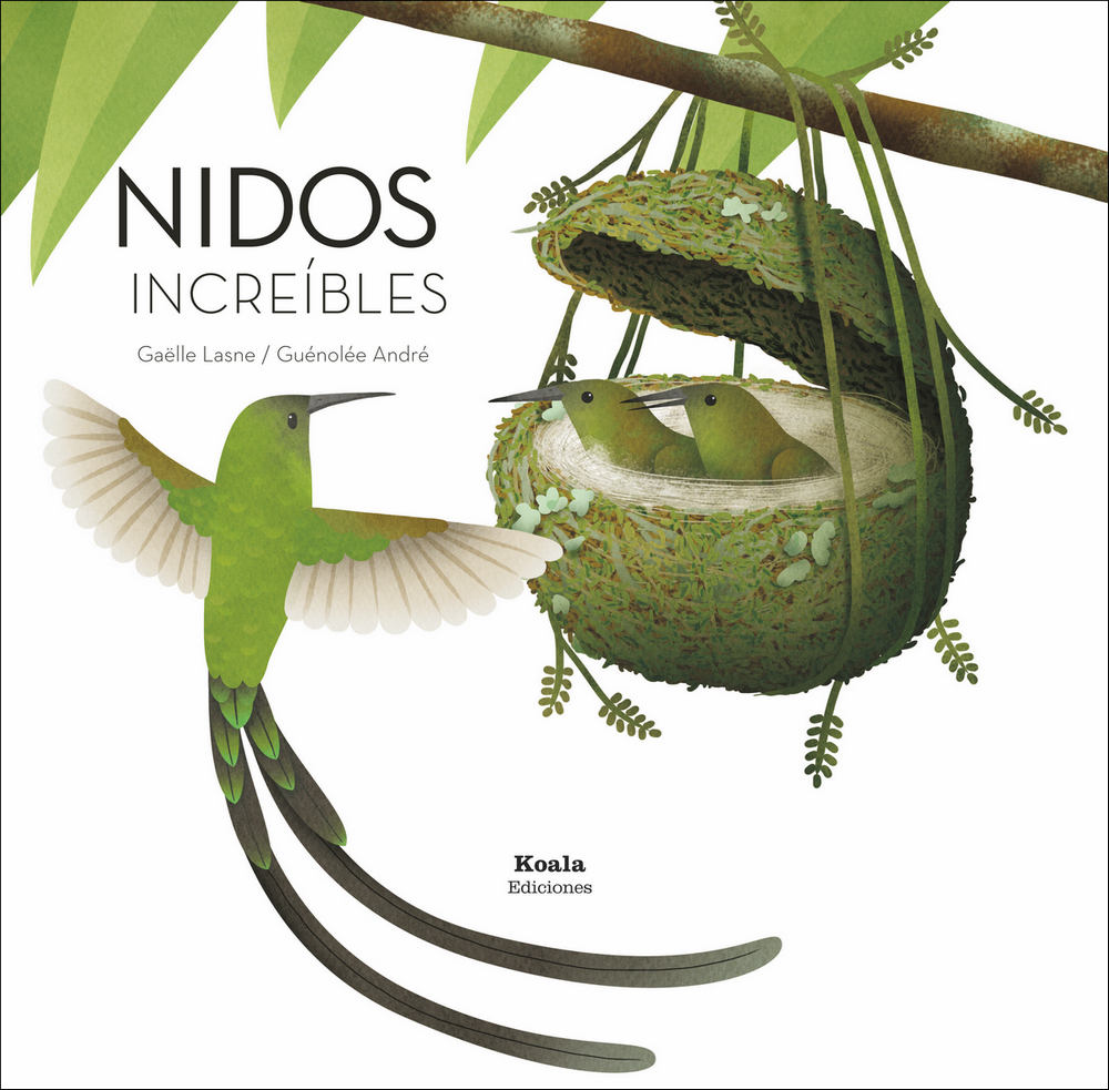 NIDOS INCREÍBLES 1
