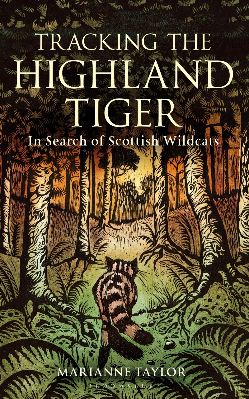 TRACKING THE HIGHLAND TIGER: IN SEARCH OF SCOTTISH WILDCATS 1