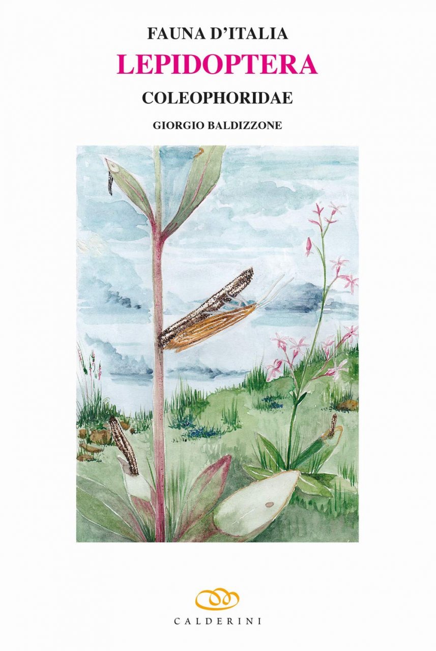 FAUNA D'ITALIA. LEPIDOPTERA, COLEOPHORIDAE VOL. LIII