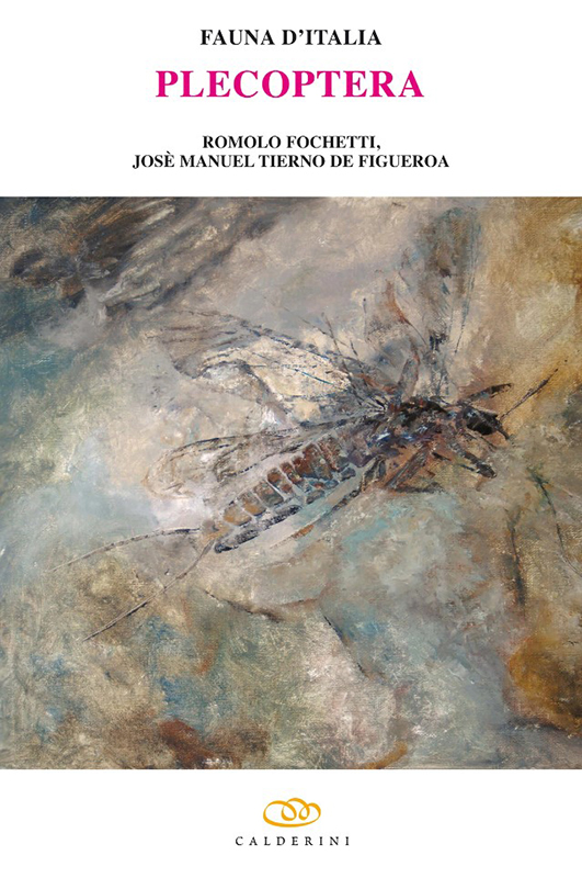 FAUNA D'ITALIA. PLECOPTERA VOL XLIII