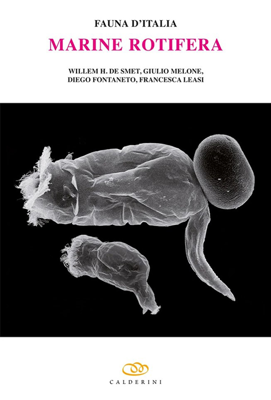 FAUNA D'ITALIA. MARINE ROTIFERA VOL. L