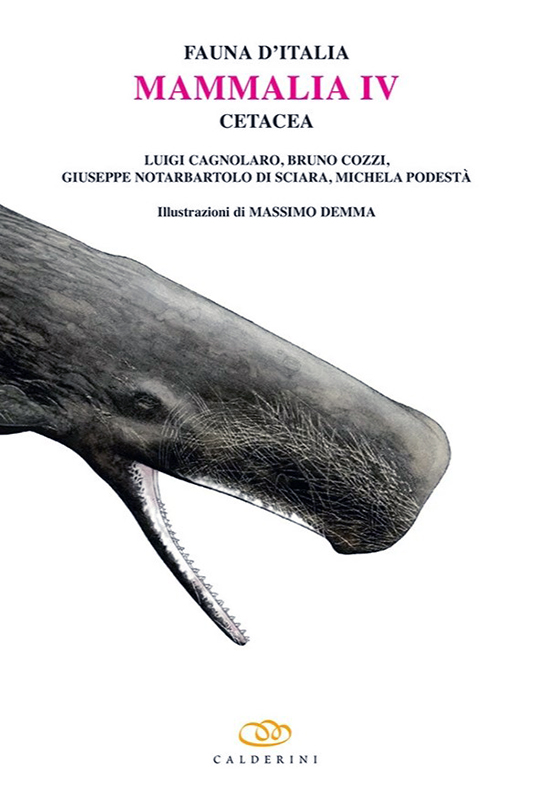 FAUNA D'ITALIA. MAMMALIA IV, CETACEA VOL. XLIX