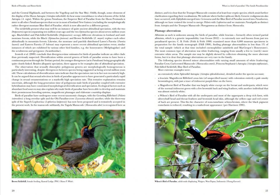 HELM IDENTIFICATION GUIDES. BIRDS OF PARADISE AND BOWERBIRDS 2