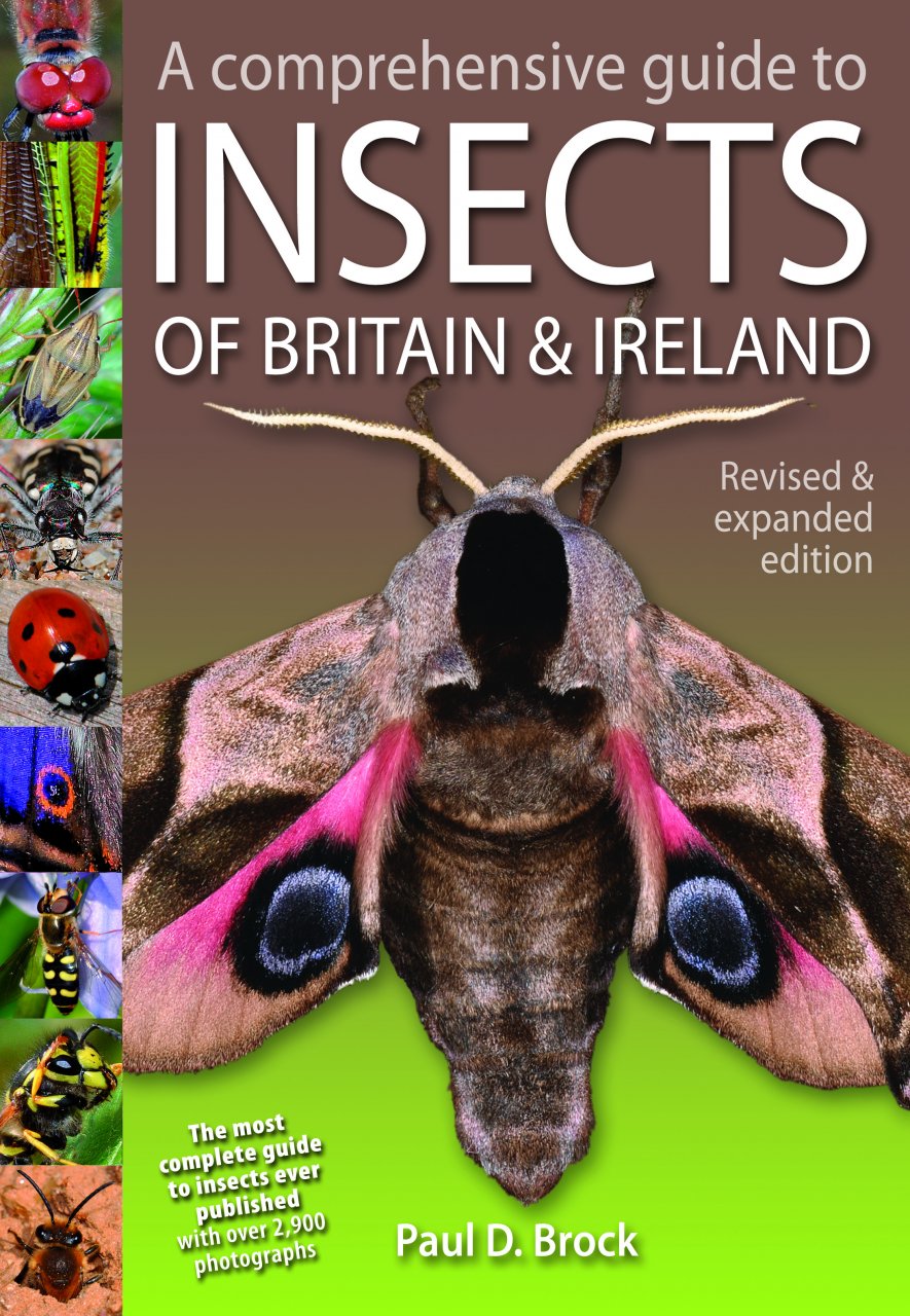A COMPREHENSIVE GUIDE TO INSECTS OF BRITAIN AND IRELAND