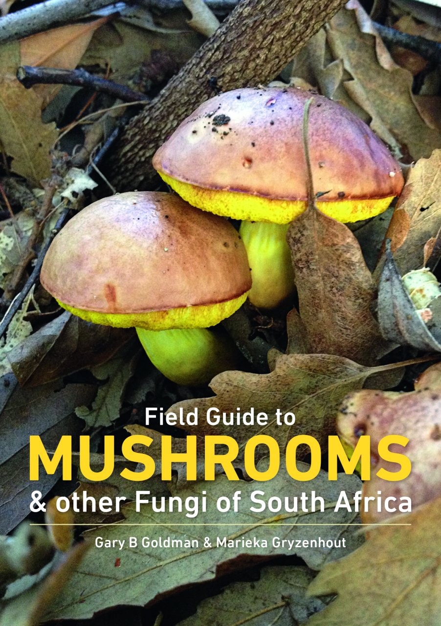 MUSHROOMS AND OTHER FUNGI IN SOUTH AFRICA