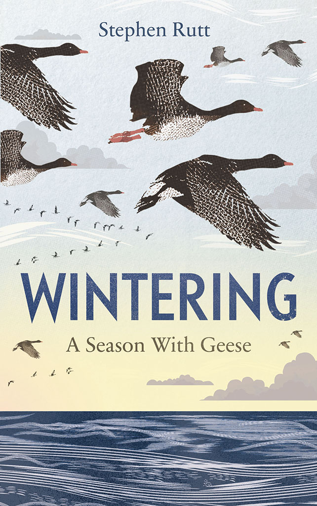 WINTERING: A SEASON WITH GEESE 1