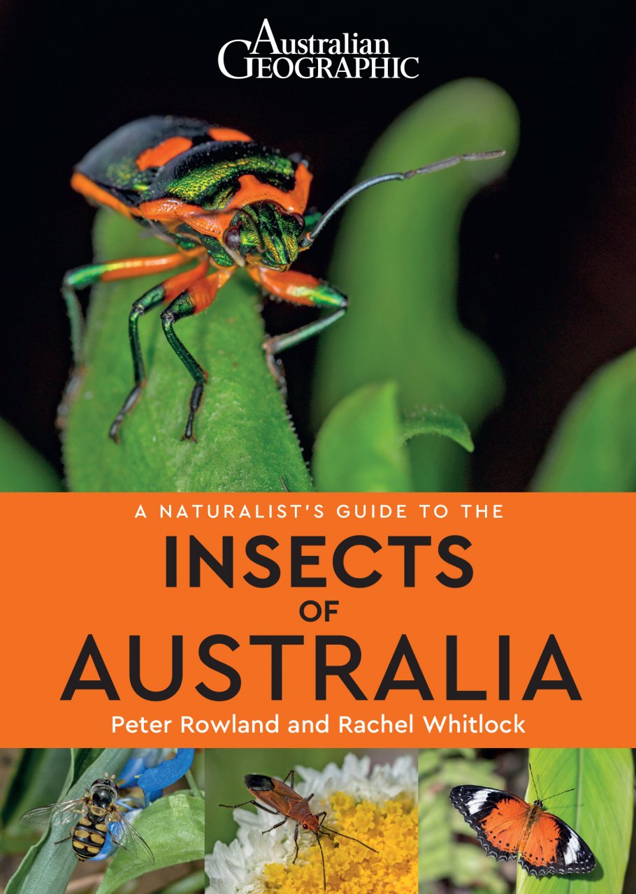 A NATURALIST'S GUIDE TO THE INSECTS OF AUSTRALIA