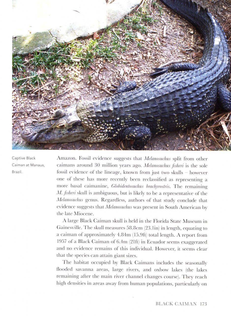 CROCODILES OF THE WORLD. A COMPLETE GUIDE TO ALLIGATORS, CAIMANS, CROCODILES AND CHARIALS 2