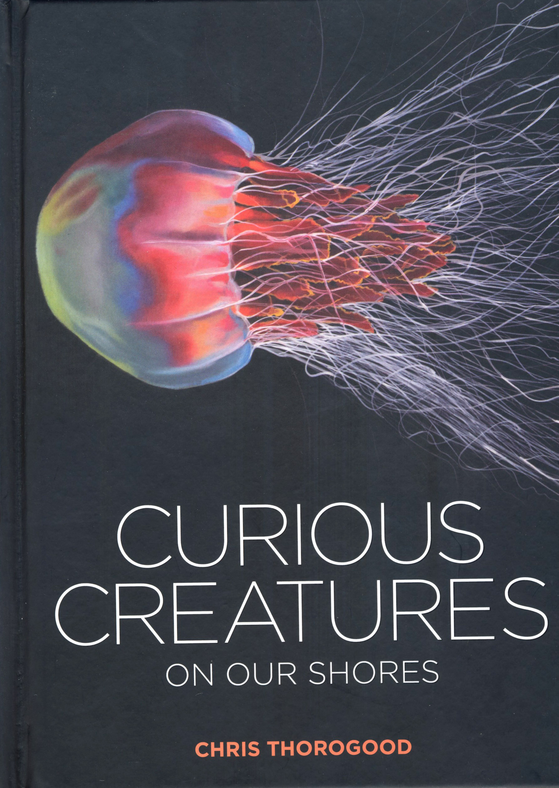 CURIOUS CREATURES ON OUR SHORES
