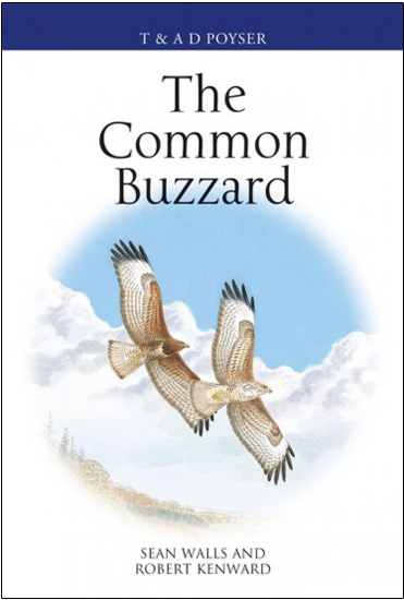THE COMMON BUZZARD 1
