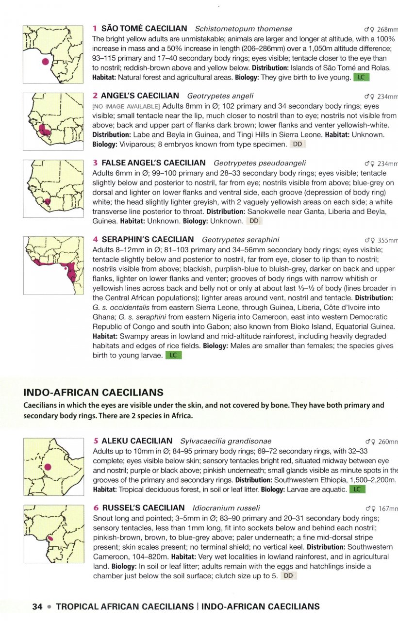 FIELD GUIDE TO THE FROGS &AMP; OTHER AMPHIBIANS OF AFRICA 4