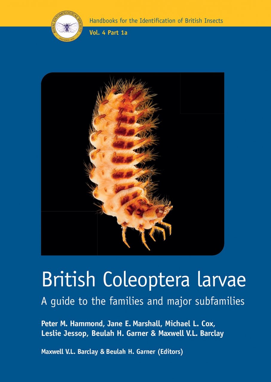 BRITISH COLEOPTERA LARVAE. A GUIDE TO THE FAMILIES AND MAJOR SUBFAMILIES 1