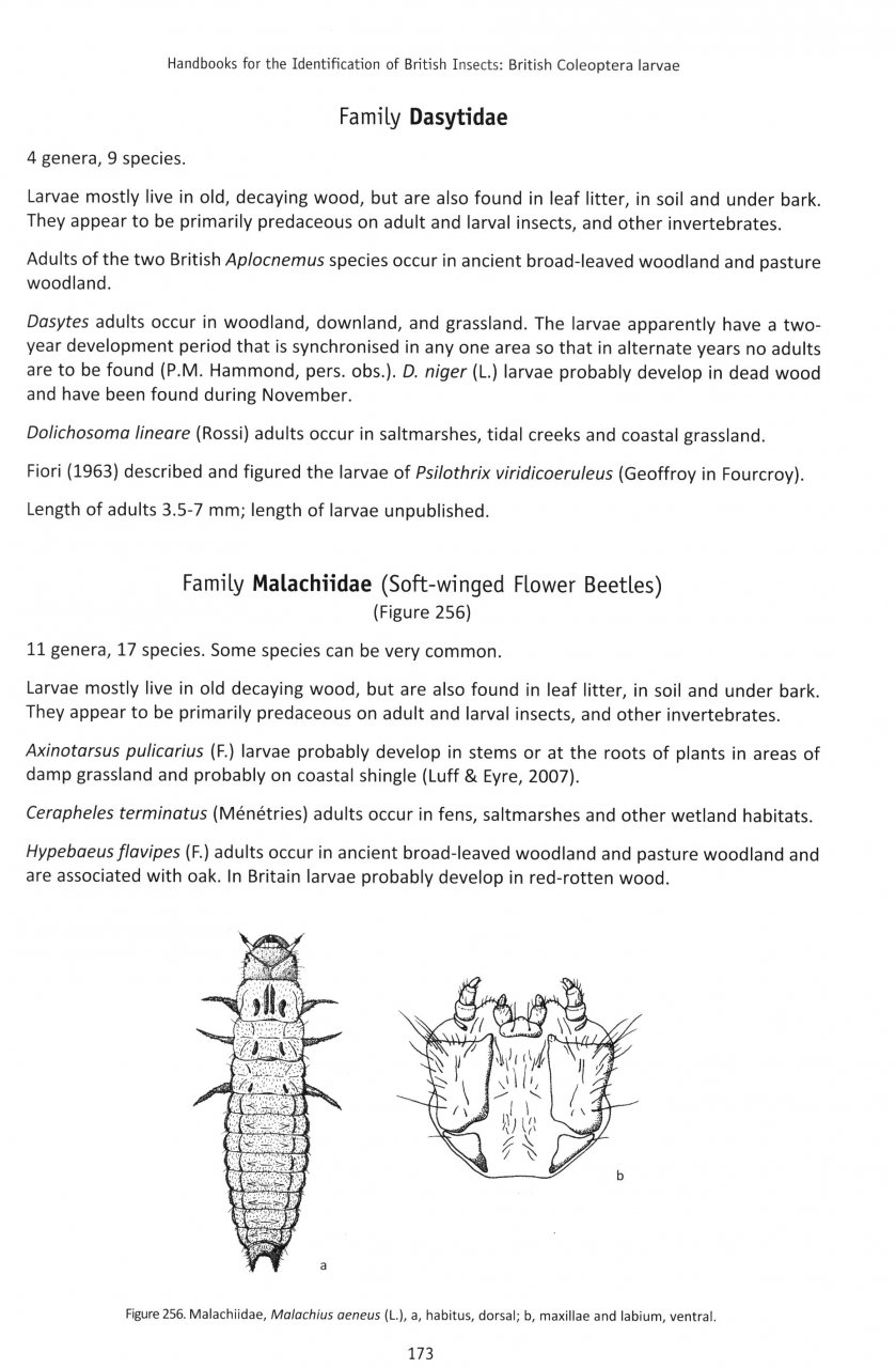 BRITISH COLEOPTERA LARVAE. A GUIDE TO THE FAMILIES AND MAJOR SUBFAMILIES 4