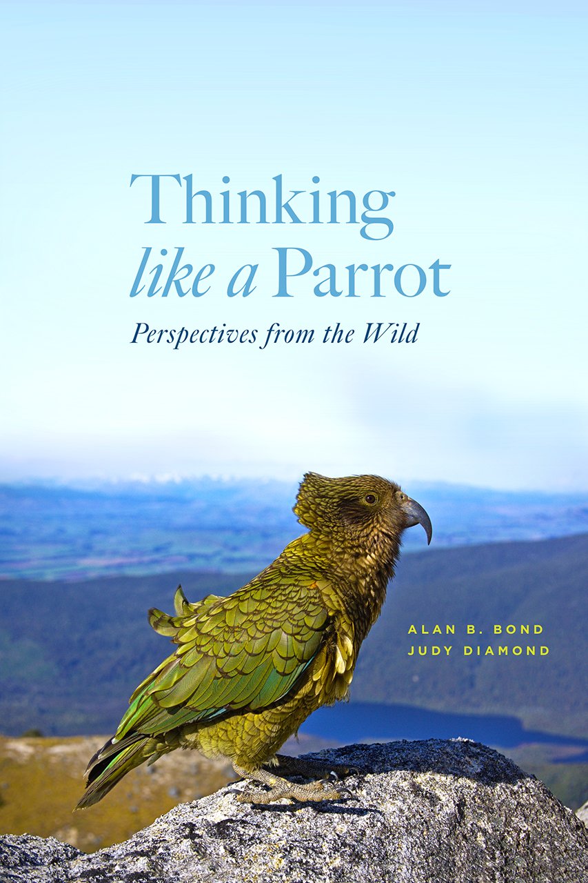 THINKING LIKE A PARROT 1