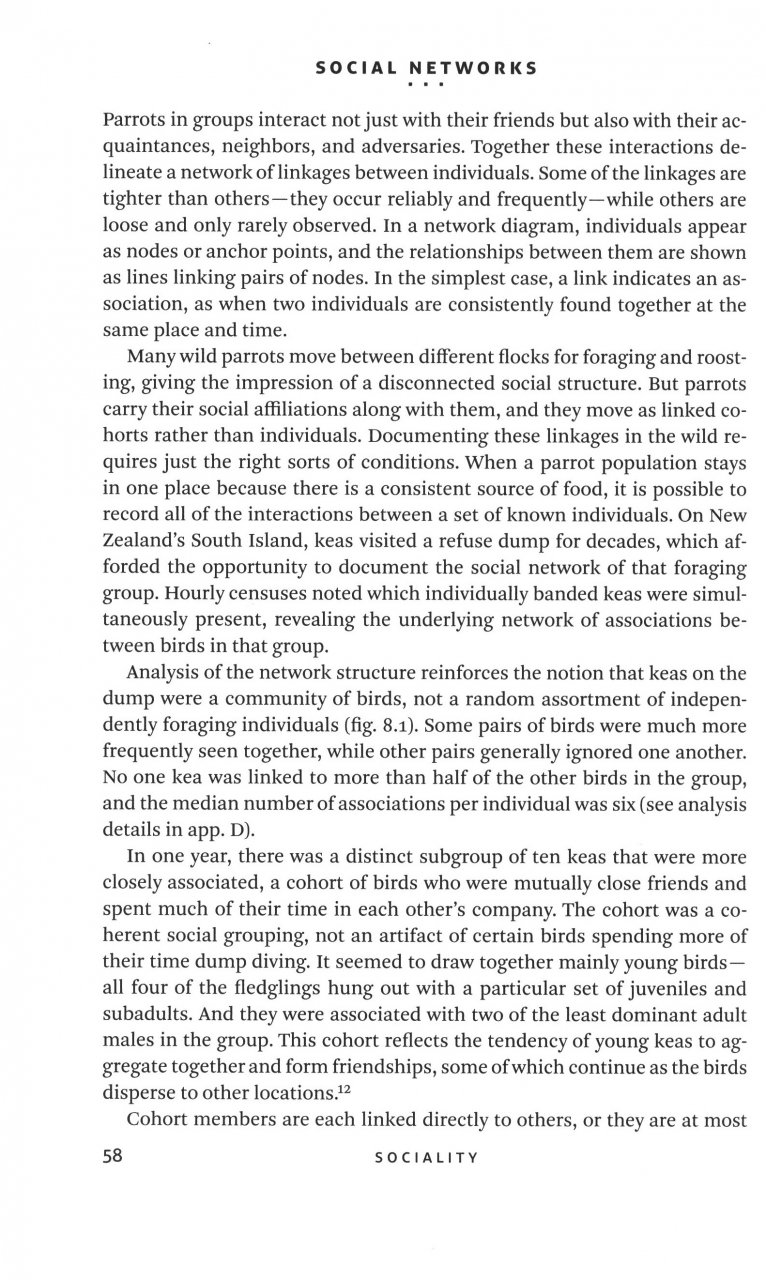 THINKING LIKE A PARROT 2