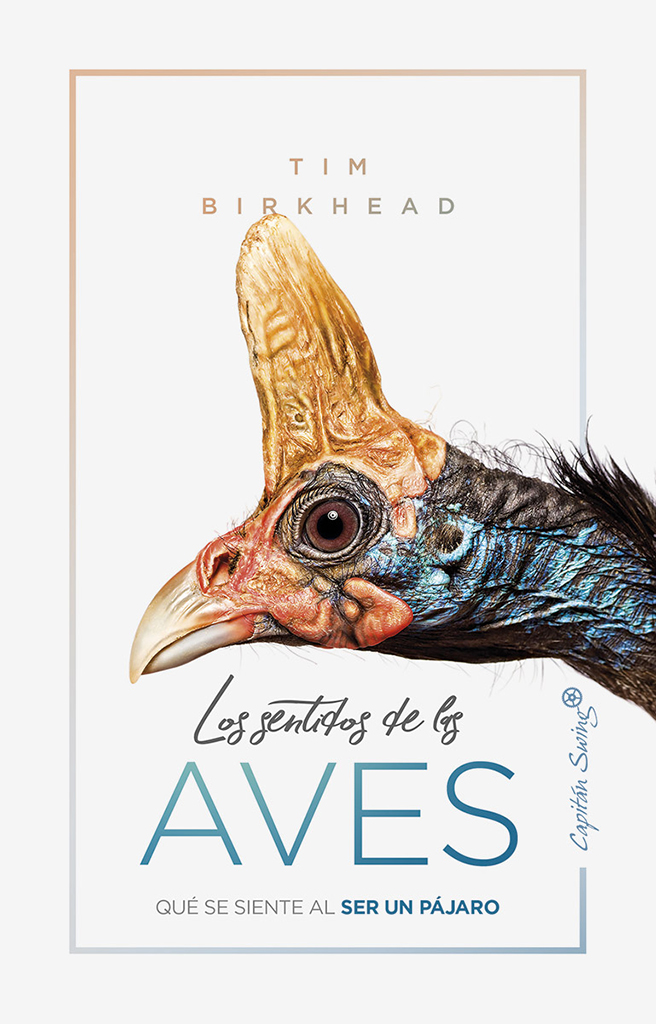 LOS SENTIDOS DE LAS AVES. QUÉ SE SIENTE AL SER UN PÁJARO 1