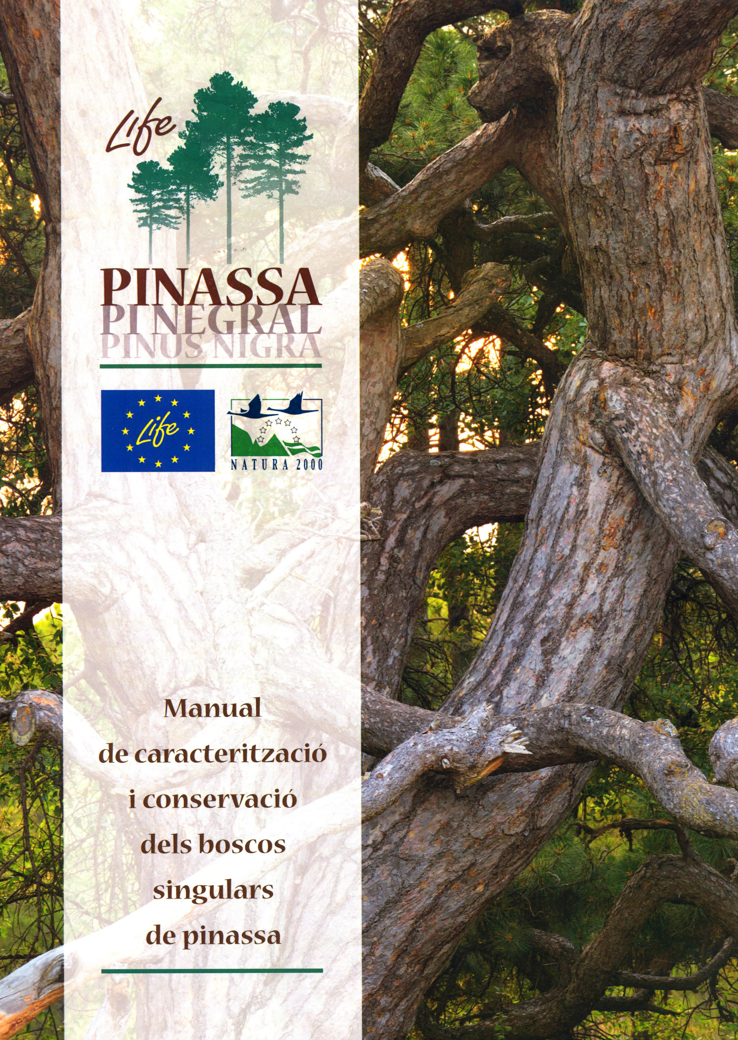 MANUAL DE CARACTERITZACIÓ I CONSERVACIÓ DELS BOSCOS SINGULARS DE PINASSA 1