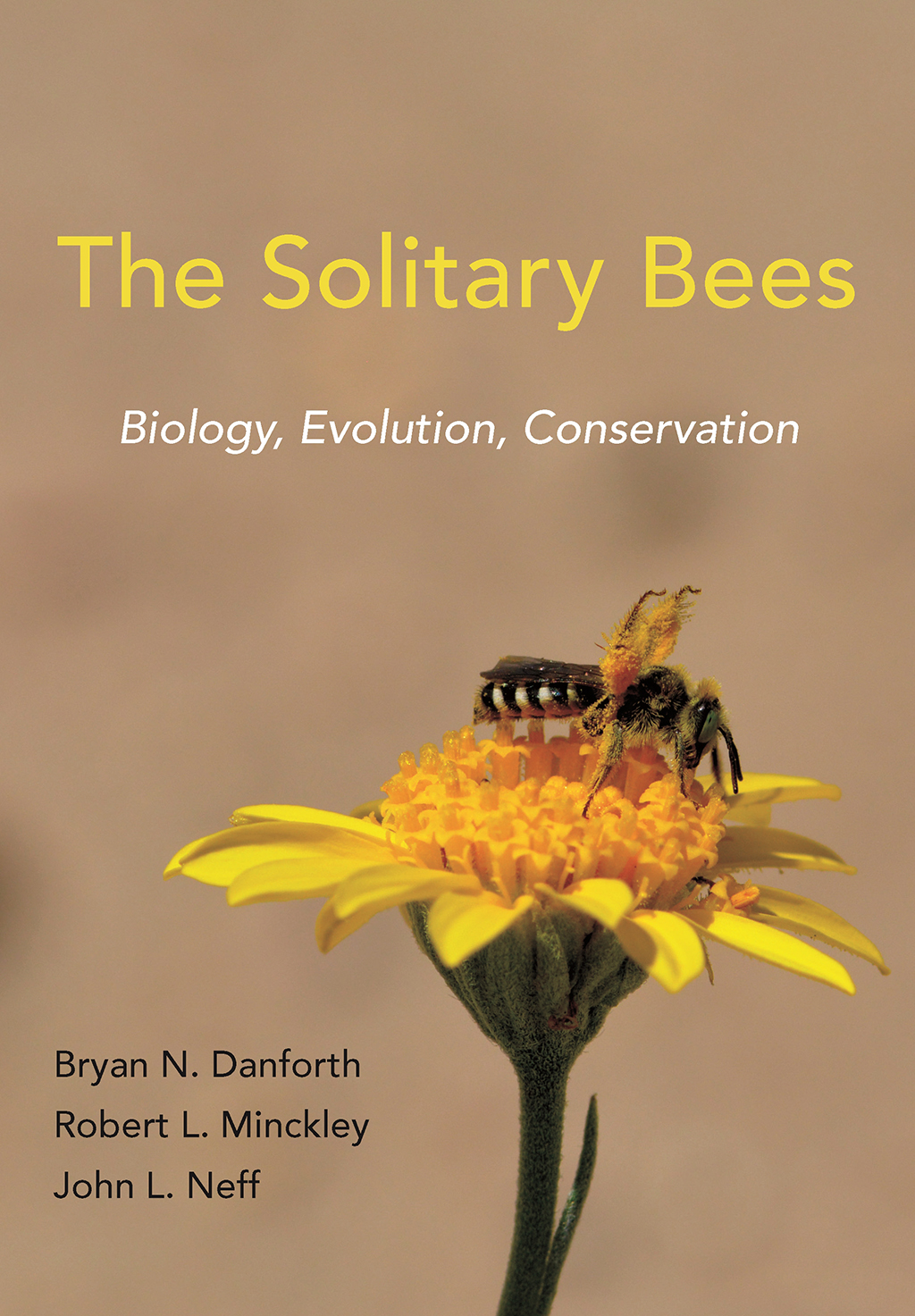 THE SOLITARY BEES 1