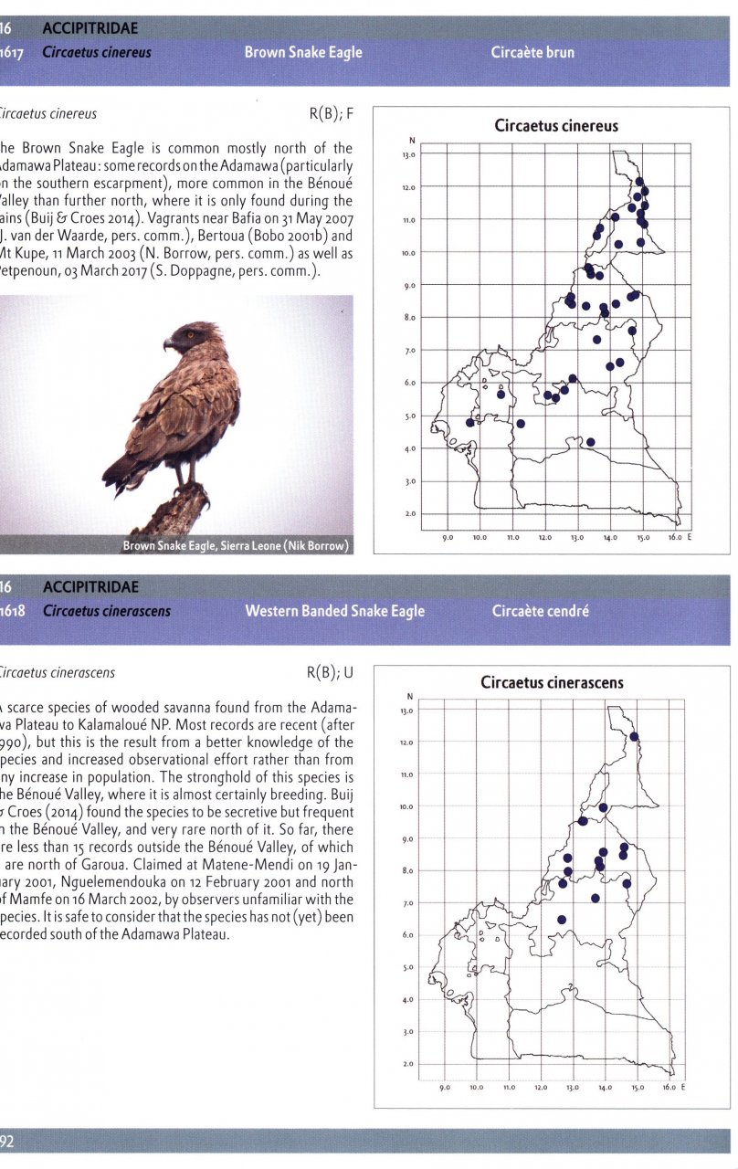 THE BIRDS OF CAMEROON. THEIR STATUS AND DISTRIBUTION 3
