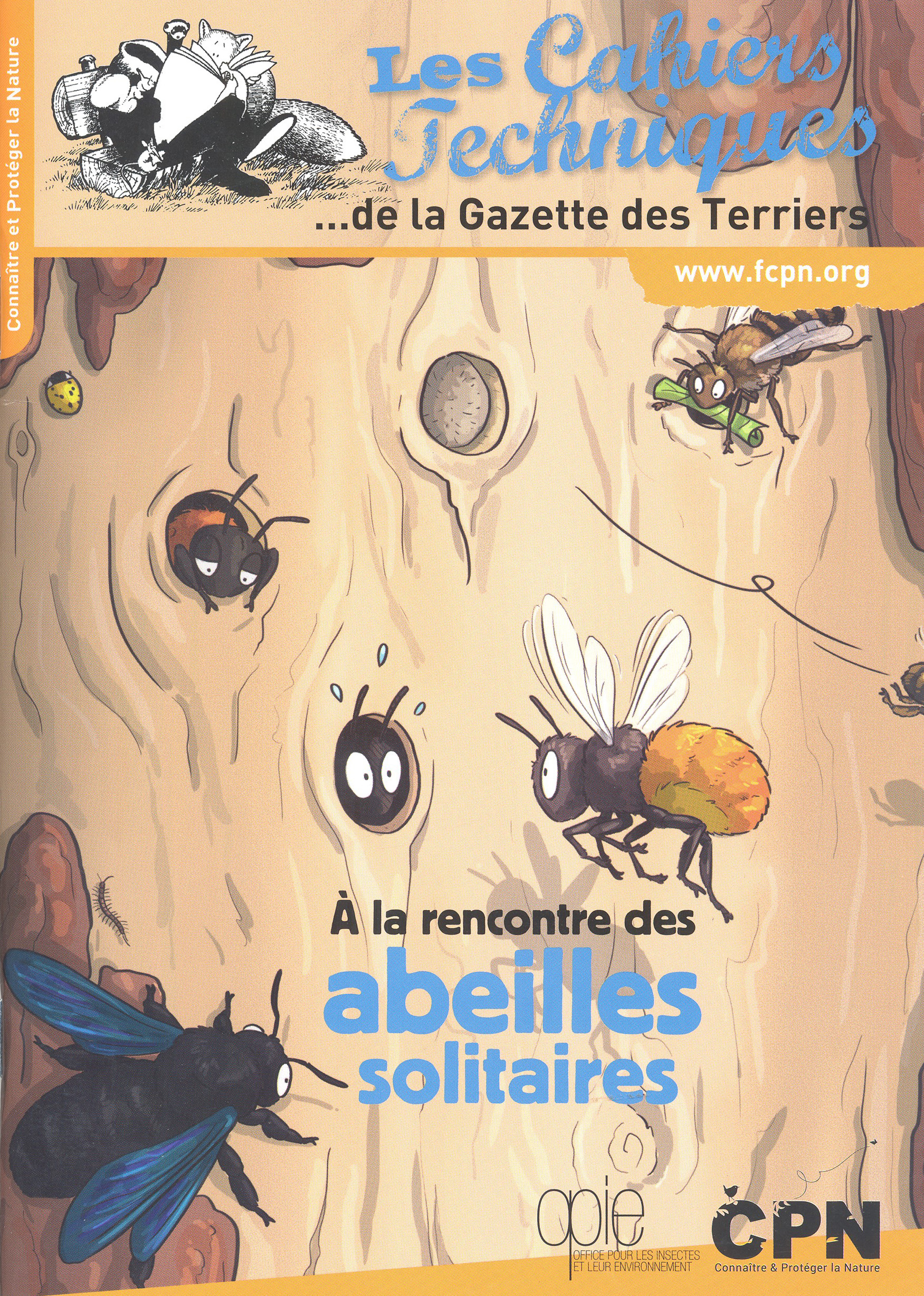 À LA RENCONTRE DES ABEILLES SOLITAIRES 1