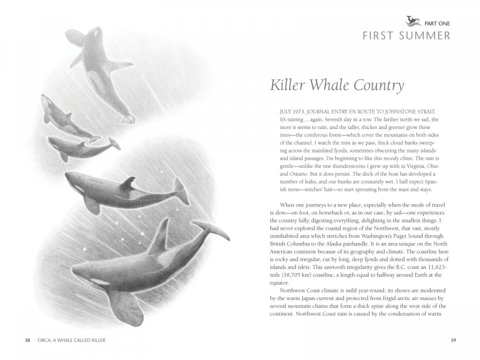ORCA: THE WHALE CALLED KILLER 3