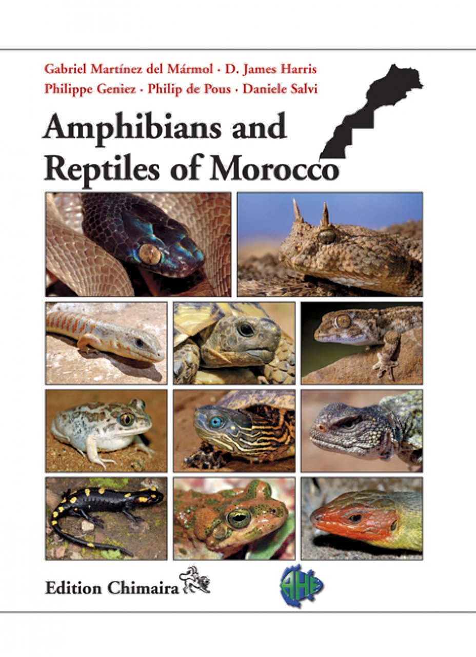 AMPHIBIANS AND REPTILES OF MOROCCO