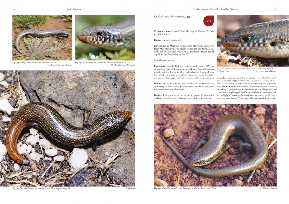 AMPHIBIANS AND REPTILES OF MOROCCO 5