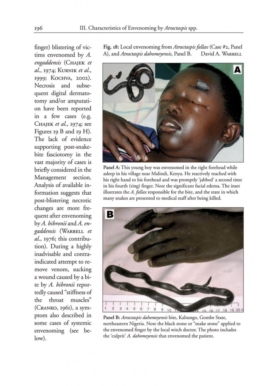 THE AFRICAN AND MIDDLE EASTERN BURROWING ASPS AND THEIR ALLIES 5
