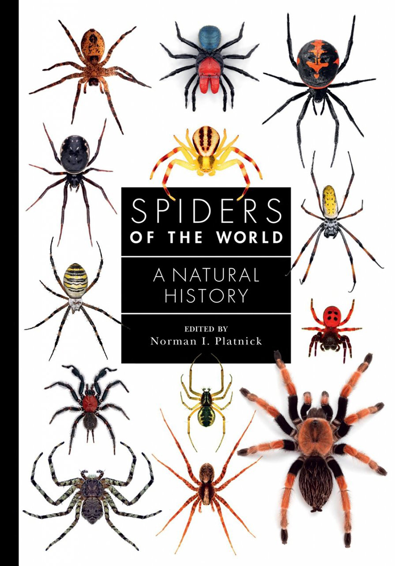 SPIDERS OF THE WORLD. A NATURAL HISTORY 1